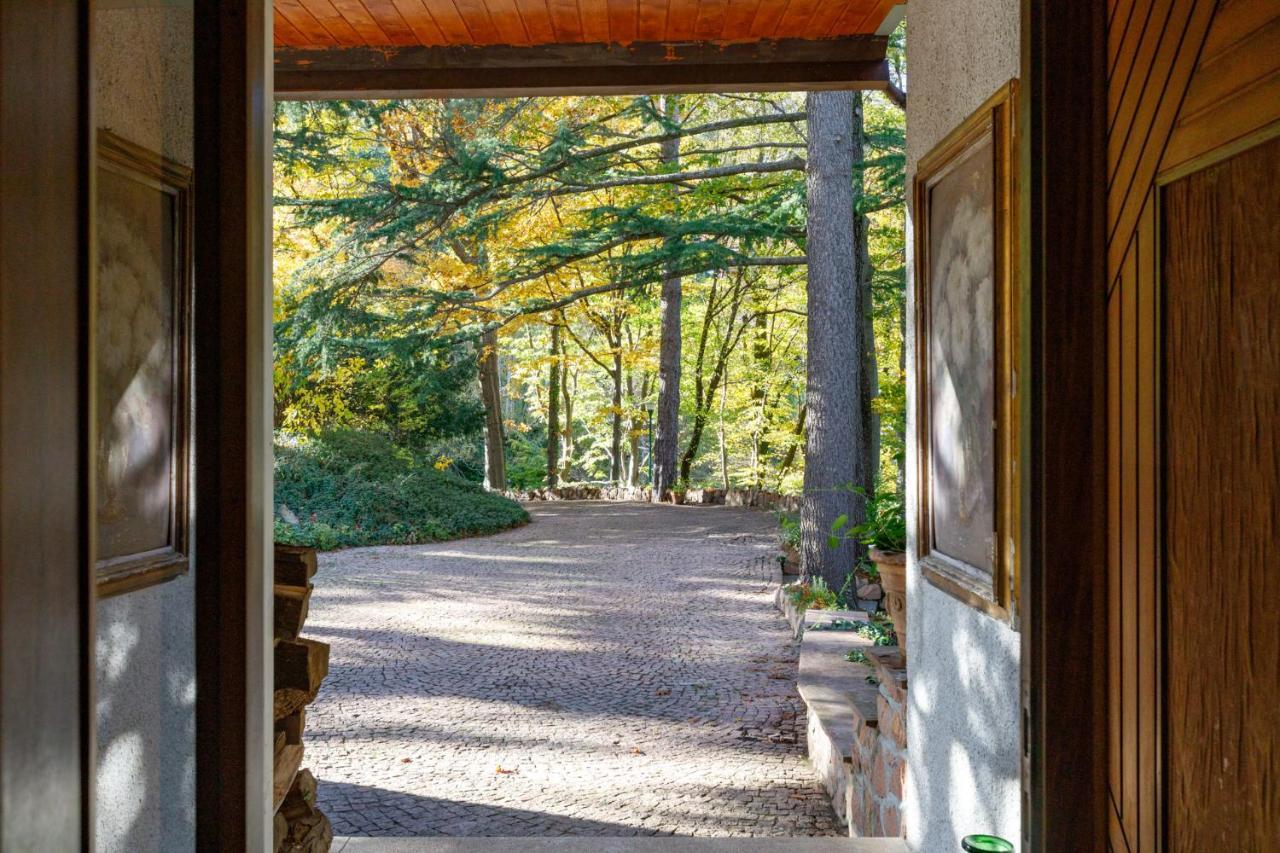 Villa Ponti Bellavista Μπελάτζιο Εξωτερικό φωτογραφία
